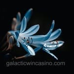 Avatar de Rafael Campos