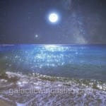 Avatar de Rocío Coronado